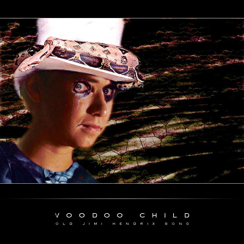 voodo_child.jpg